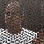 Peter Greste Freedom of the Press