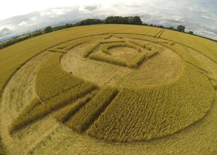 Looking at crop circles from ETs